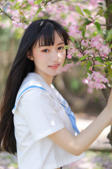 摇滚藏獒